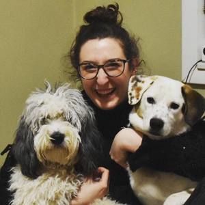 Meet your Posher, Dani